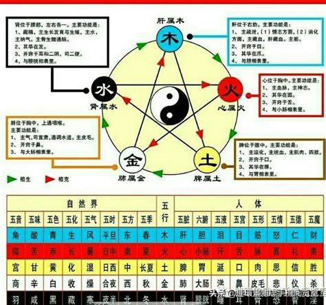 2021 五行|2021年金木水火土五行查询表